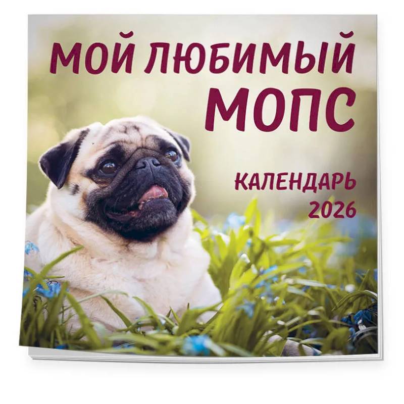 Мой любимый мопс. Календарь настенный на 2026 год (300х300 мм)
