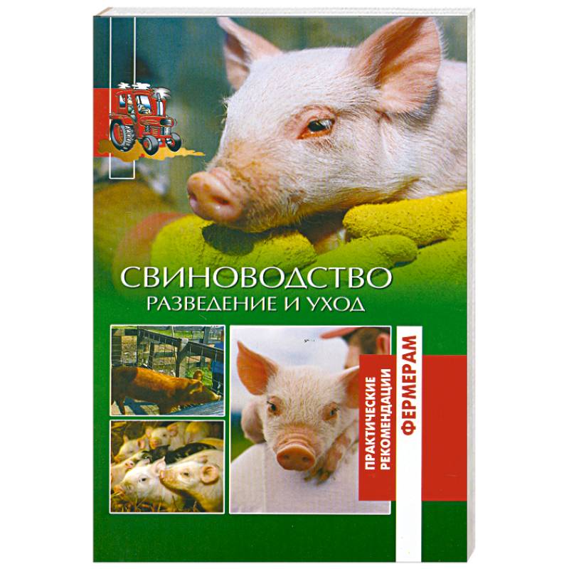 Свиноводство. Разведение и уход