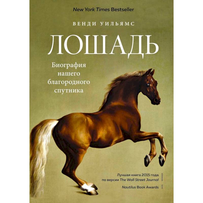 Лошадь.Биография нашего благородного спутника