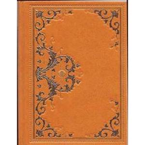 Гаспар-гаучо. Жестокие джунгли