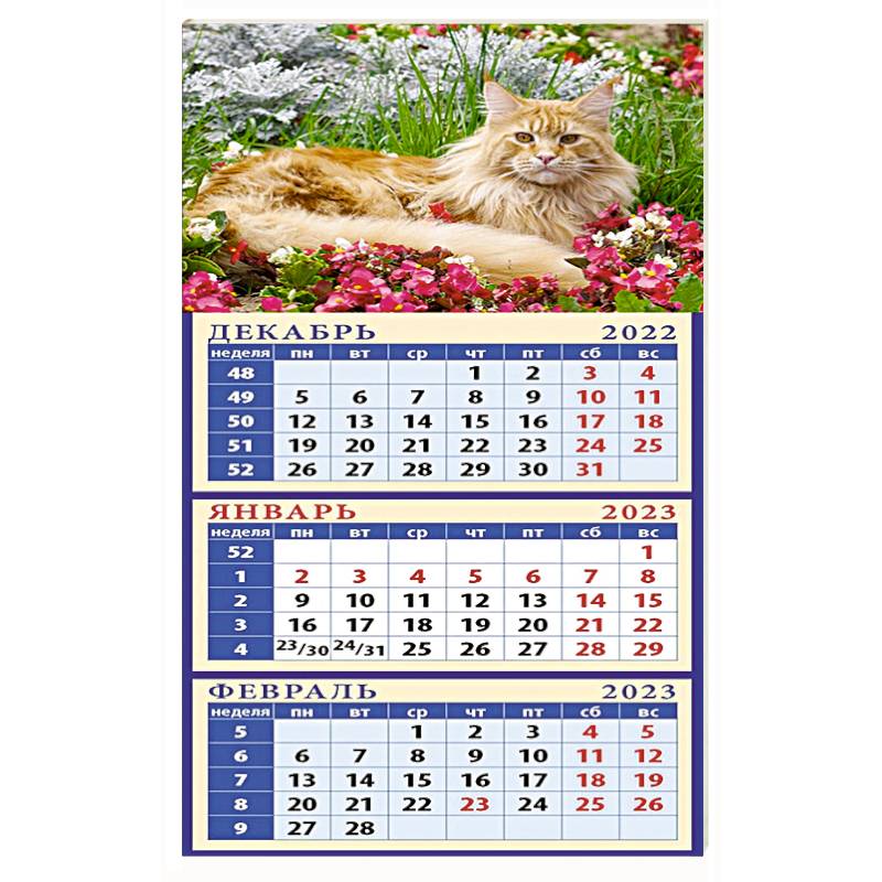 Календарь Год кота. Среди цветов на 2023 год