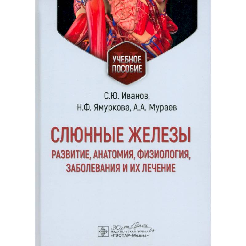 Слюнные железы. Развитие, анатомия, физиология, заболевания и их лечение. Учебное пособие
