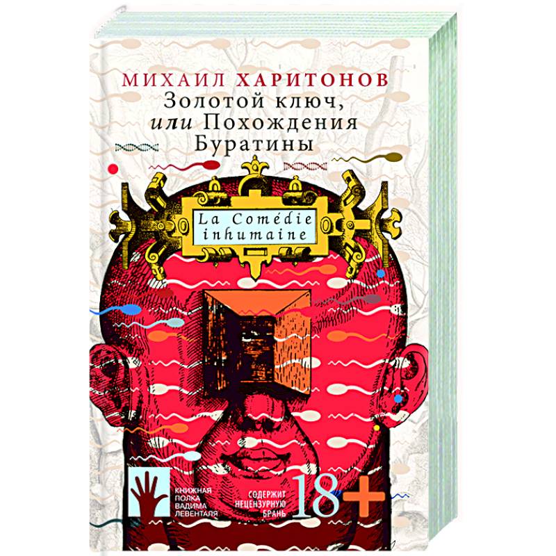 Золотой ключ, или Похождения Буратины