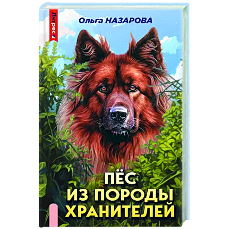 Пёс из породы хранителей