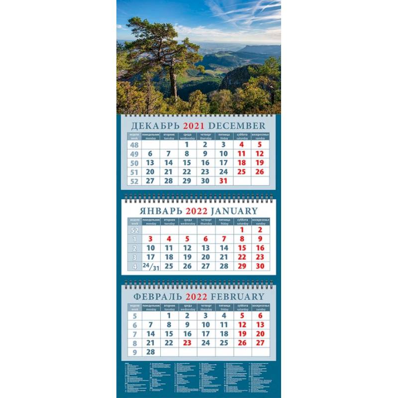 Календарь квартальный на 2022 год 'Великолепный пейзаж с сосной' (14251)