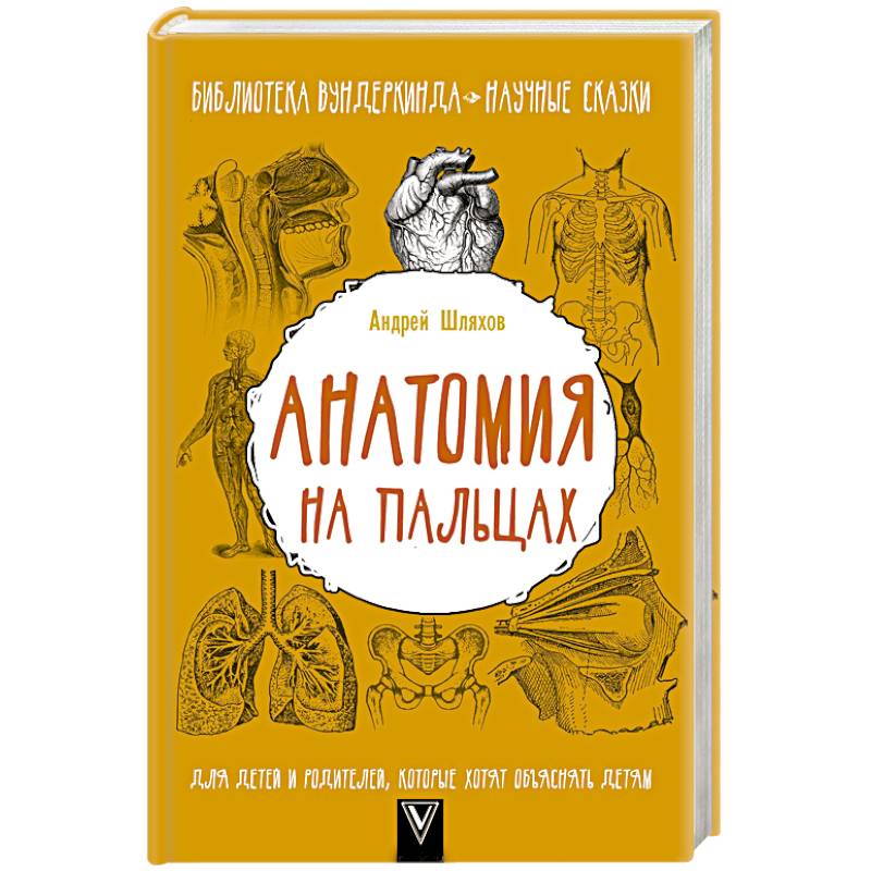 Анатомия на пальцах. Для детей и родителей, которые хотят объяснять детям