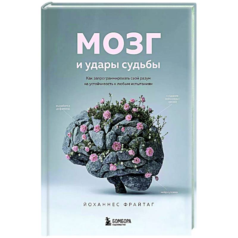 Мозг и удары судьбы. Как запрограммировать свой разум на устойчивость к любым испытаниям
