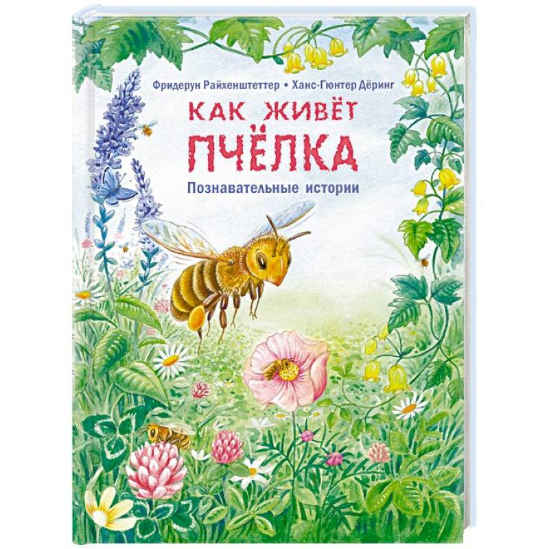 Как живёт пчёлка. Познавательные истории