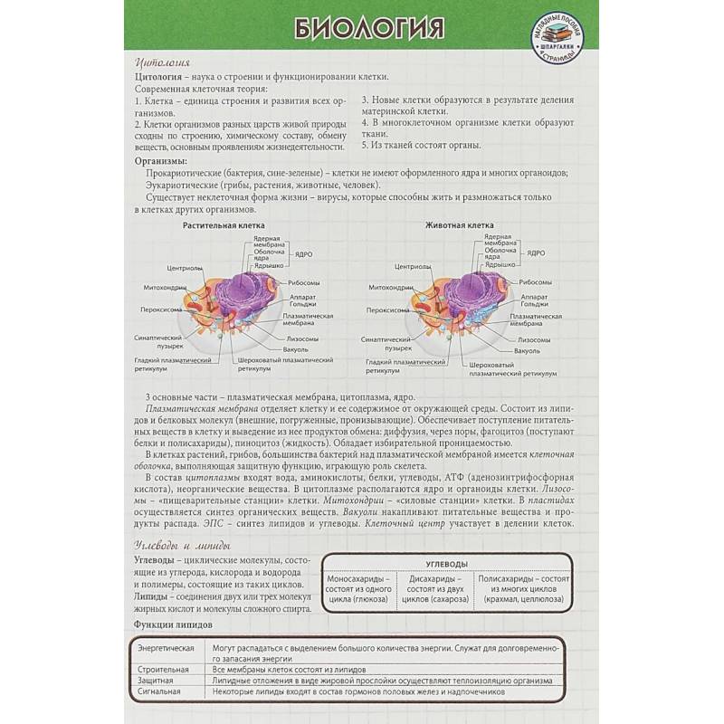 Биология. Шпаргалка