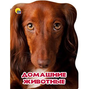 Домашние животные