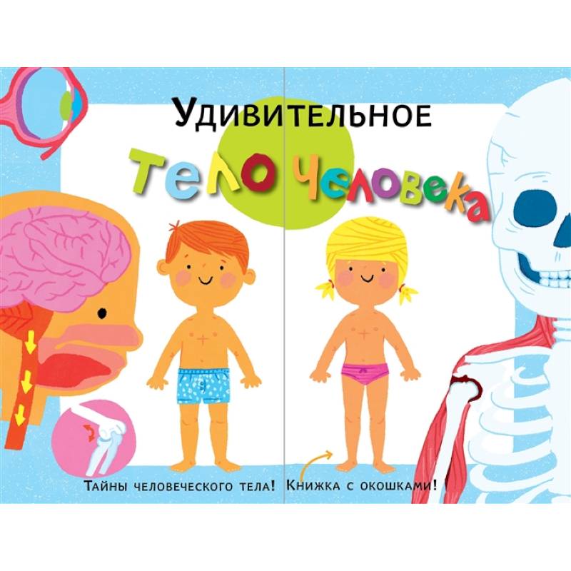 Удивительное тело человека