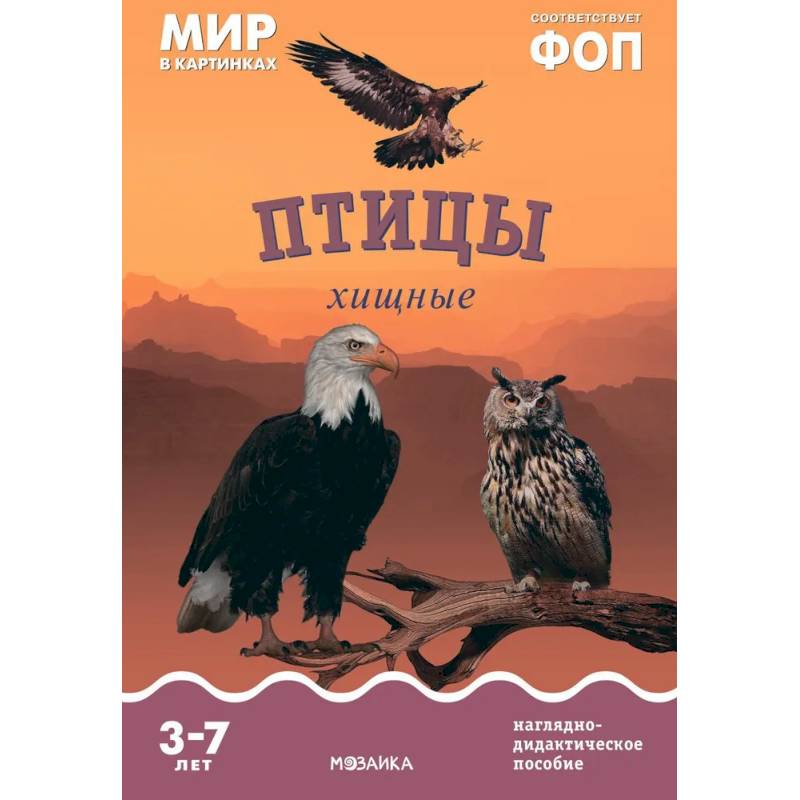 Птицы хищные: Наглядно-дидактическое пособие