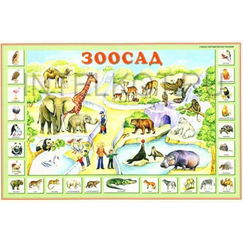 Зоосад. Плакат для детей (двухсторонний)
