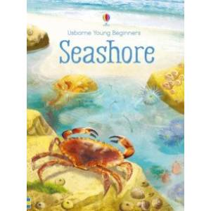 Seashore Seashore