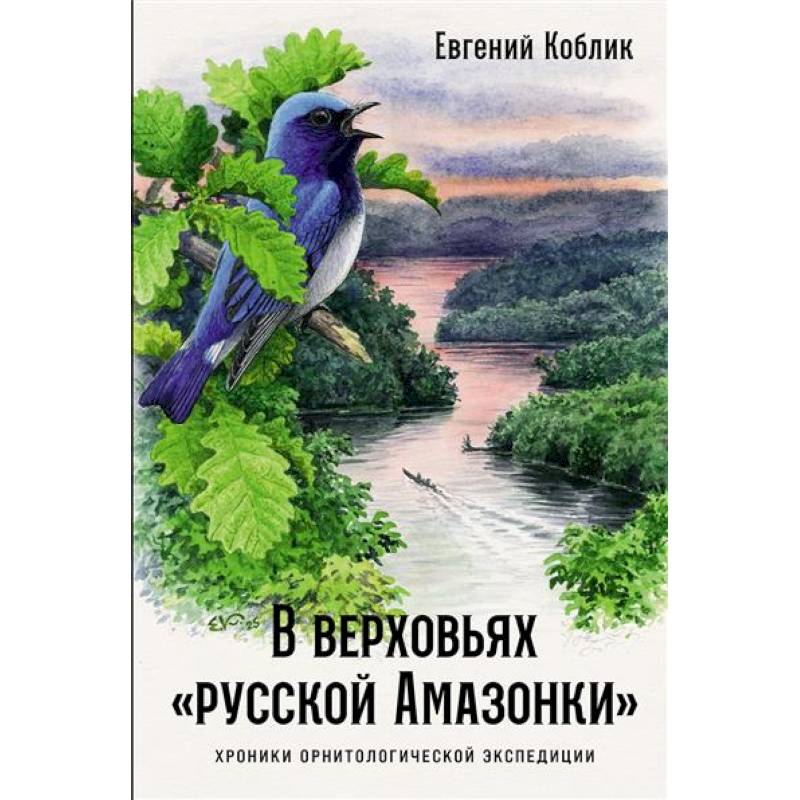 В верховьях «русской Амазонки»: Хроники орнитологической экспедиции