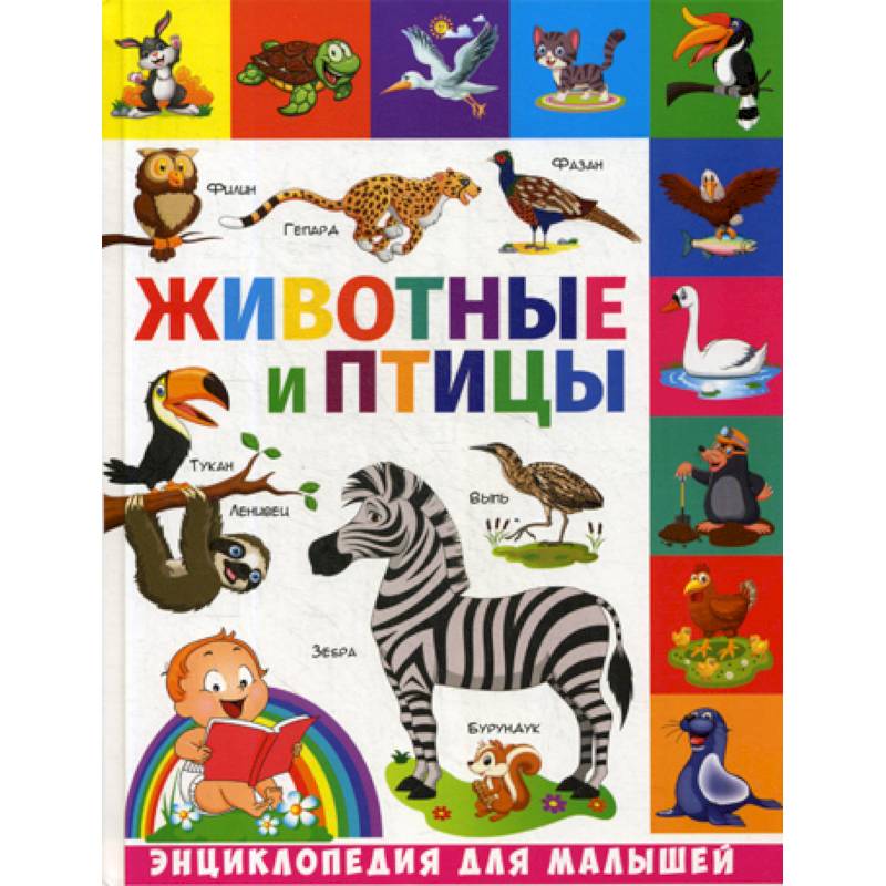 Животные и птицы