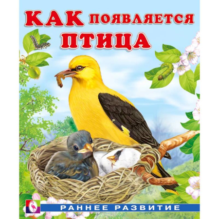 Животный и растительный мир, книга Как появляется птица купить по скидке