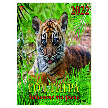 2022 Календарь Год тигра. Забавные тигрята