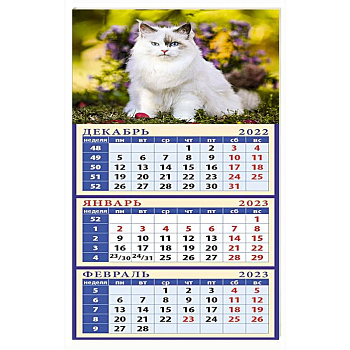 Календарь Год кота. Пушистый красавчик на 2023 год