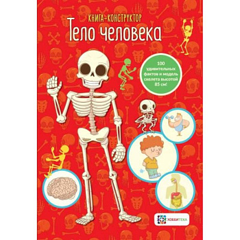 Тело человека.  Книга - конструктор