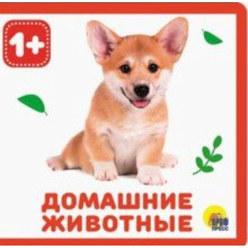 Домашние животные