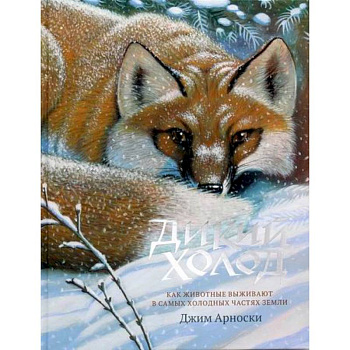 Дикий холод