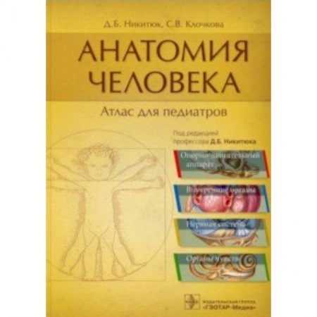 Педиатрия, книга Анатомия человека. Атлас для педиатров купить по скидке