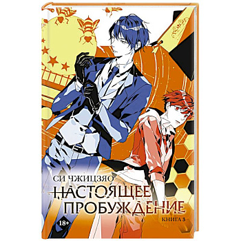 Настоящее пробуждение. Real Awakening. Книга 3