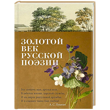 Русская поэзия, книга Золотой век русской поэзии купить по скидке