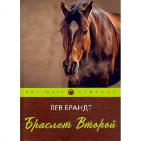Русская классика, книга Браслет Второй купить по скидке