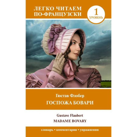 Домашнее чтение на французском языке, книга Госпожа Бовари. Уровень 1 = Madame Bovary купить по скидке