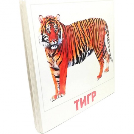 Животный и растительный мир, книга Набор карточек. Дикие животные купить по скидке