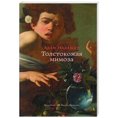 Общие работы по социологии, книга Толстокожая мимоза. Быть счастливым - или нормальным? купить по скидке