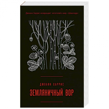 Зарубежная современная проза, книга Земляничный вор купить по скидке