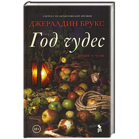 Исторический роман, книга Год чудес купить по скидке
