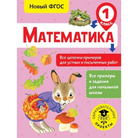 Образовательные системы. 1-4 классы, книга Математика. Все цепочки примеров для устных и письменных работ. 1 класс купить по скидке