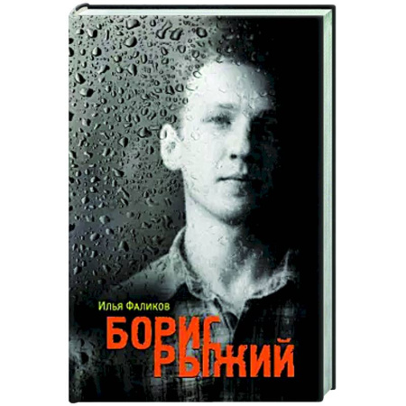 Мемуары, биографии деятелей культуры, искусства, книга Борис Рыжий. Дивий камень купить по скидке