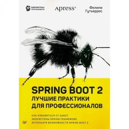 Информатика, книга Spring Boot 2:лучшие практики для профессионалов купить по скидке