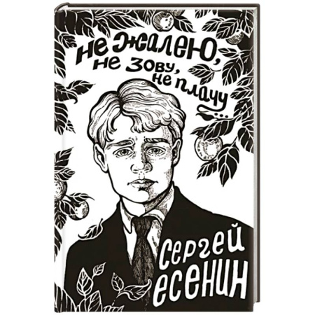 Русская поэзия, книга Не жалею, не зову, не плачу... купить по скидке