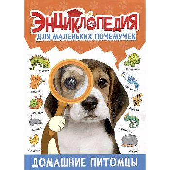 Домашние питомцы