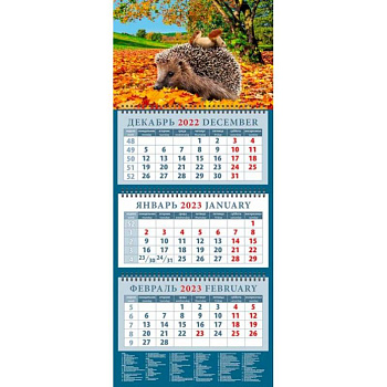 Календарь Ежик с грибами, на 2023 год