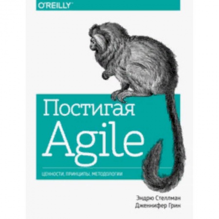 Компьютеры и программы, книга Постигая Agile. Ценности, принципы, методологии купить по скидке