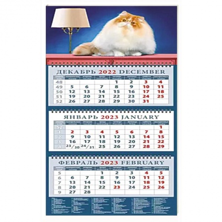 Календарь на 2023 год. Год кота. Пушистый красавчик