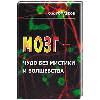Мозг - чудо без мистики и волшебства